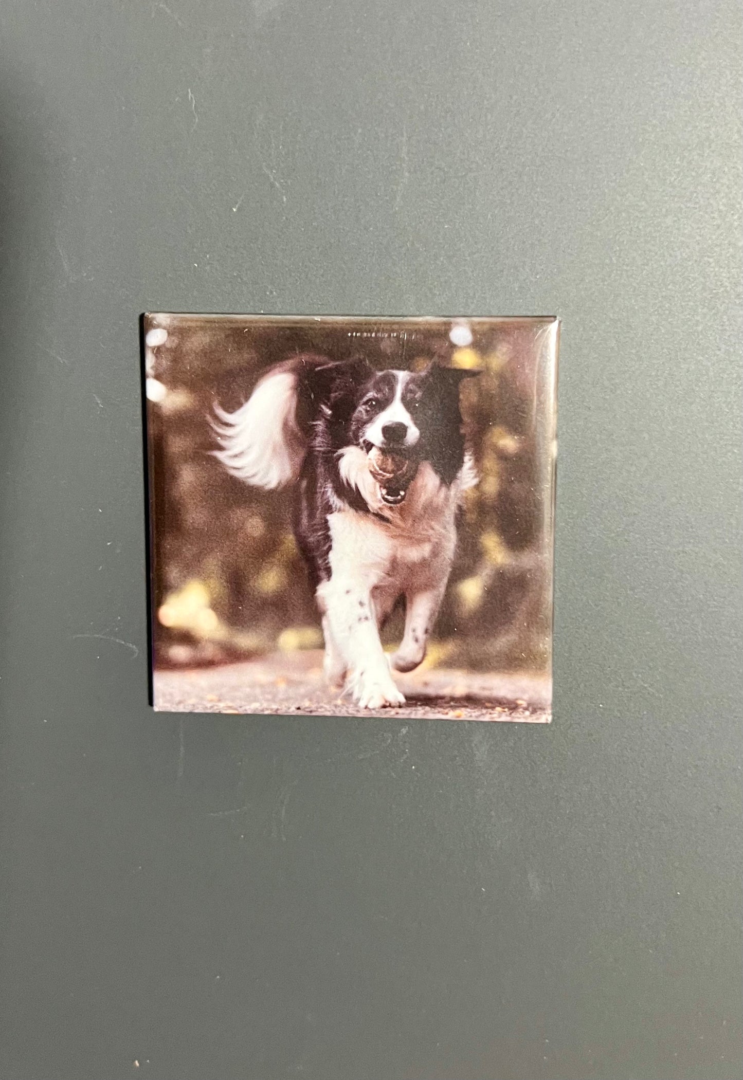 Custom 2"x2" Photo Magnets